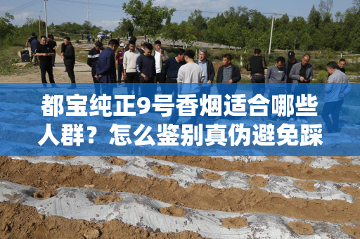 都宝纯正9号香烟适合哪些人群？怎么鉴别真伪避免踩坑？